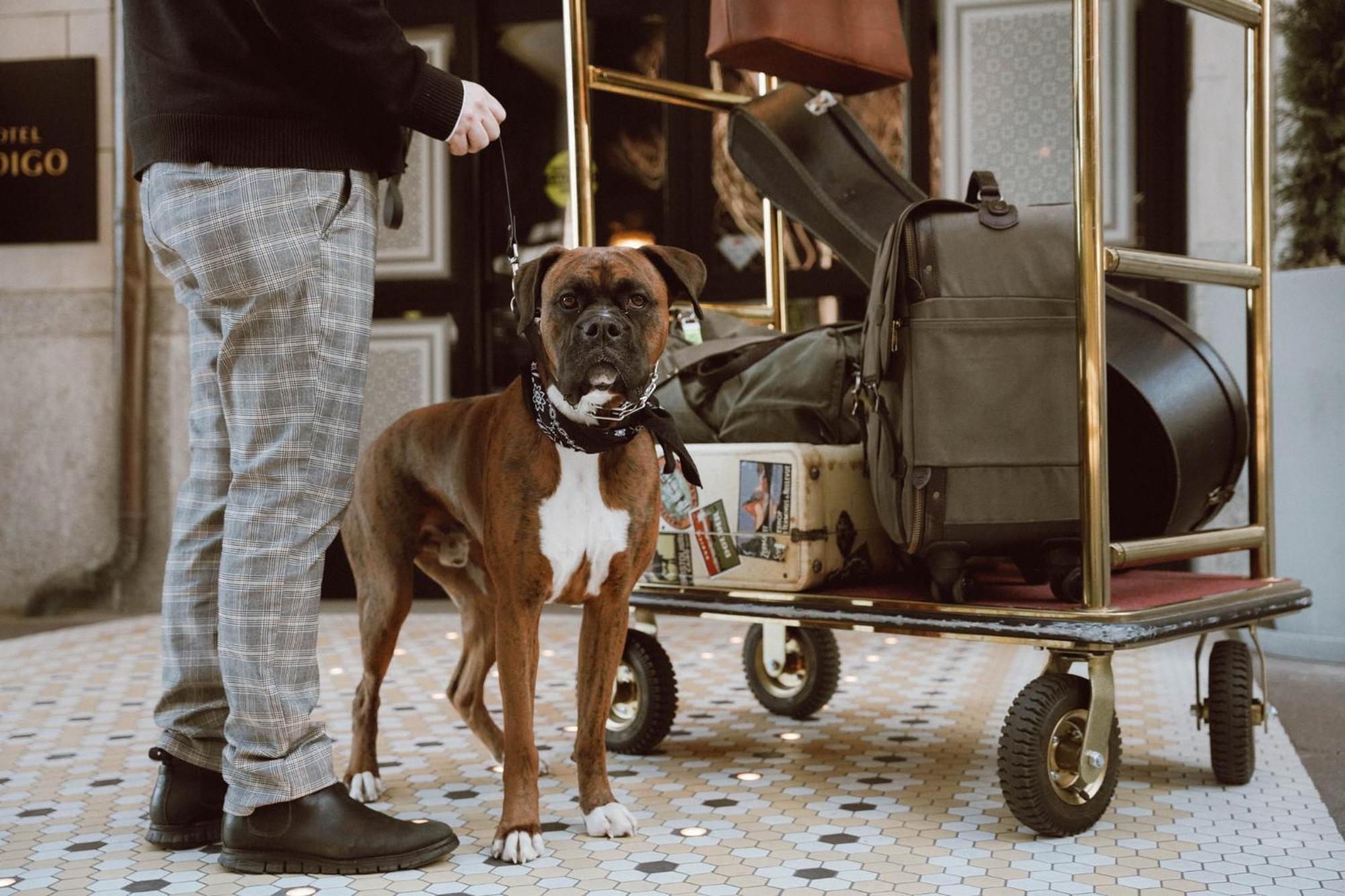 Hotel Indigo Nashville - The Countrypolitan Eksteriør bilde